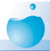 World Water Council